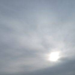 ショアジギ　サゴシゲット！！