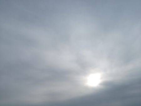 ショアジギ　サゴシゲット！！