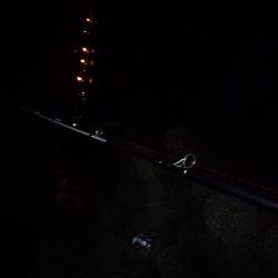 帰ってきた太刀魚!