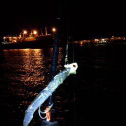 やっぱテンヤ最高