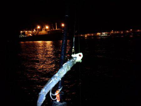 やっぱテンヤ最高