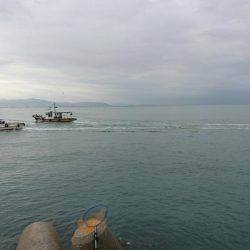 夜釣りでエギング