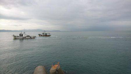 夜釣りでエギング