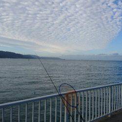 子供とファミリーフィッシング