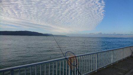 子供とファミリーフィッシング