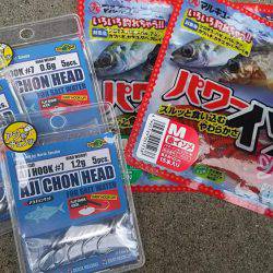 簡単楽しいアジング