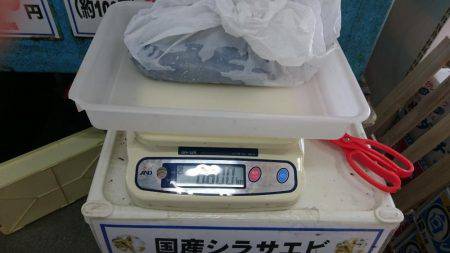 朝まずめ雨上がり狙いで行ってきました。