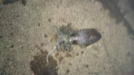 久しぶりキロアップ