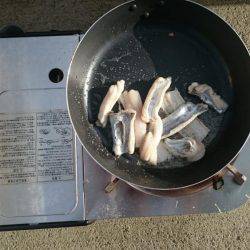 アオリイカ狙いがタチウオに