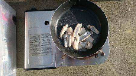 アオリイカ狙いがタチウオに