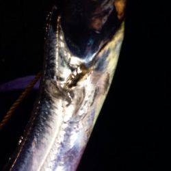 少しサイズダウン？