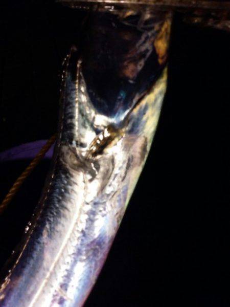 少しサイズダウン？