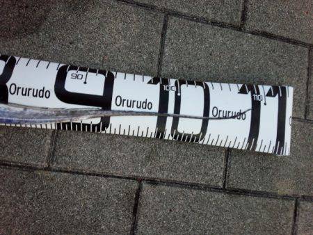 今シーズン初のドラゴン！