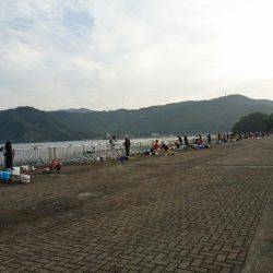 敦賀秋のサゴシ祭