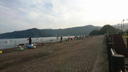 敦賀秋のサゴシ祭