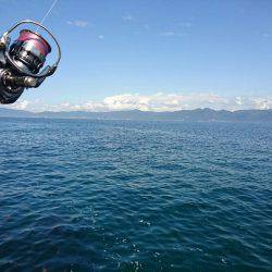 敦賀秋イカ終盤戦