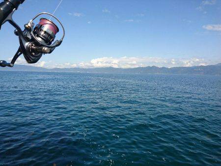 敦賀秋イカ終盤戦