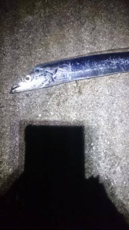 やっぱオモロイ。