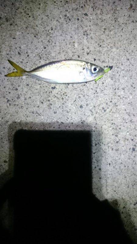 ネバリとガンバリ