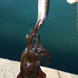 爆風もあって渋い！