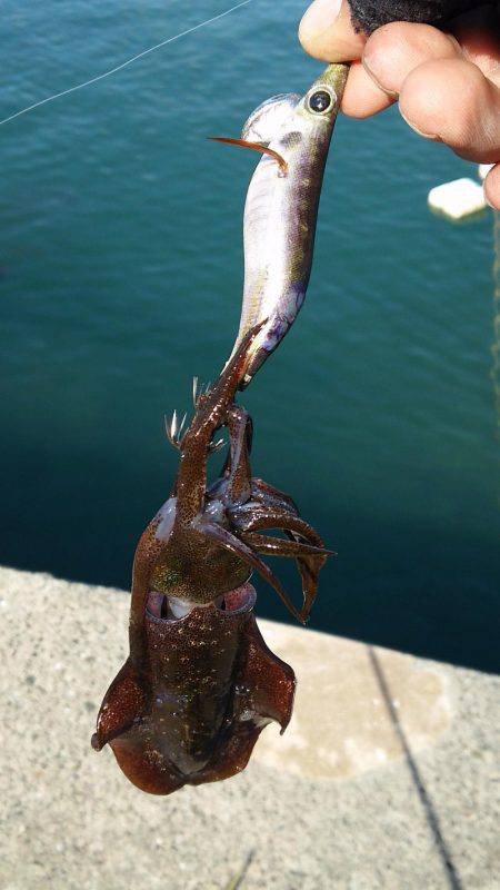 爆風もあって渋い！