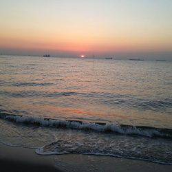 スピンテールでカレイ