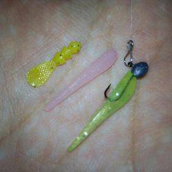 1時間で2ケタ!数釣りアジング!