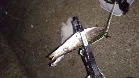 今どきカマシング