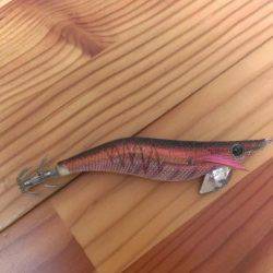 ２杯釣れました。