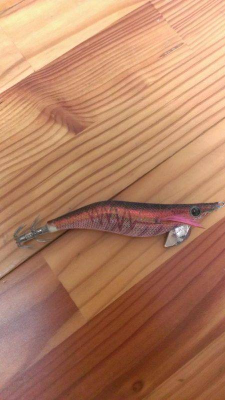 ２杯釣れました。