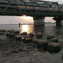 武庫川も淀川も