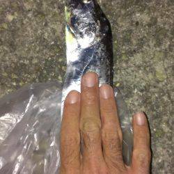 なんとか今季一本目