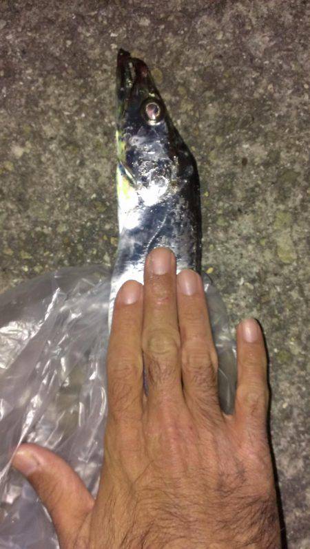 なんとか今季一本目