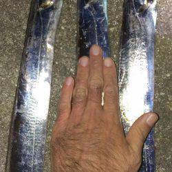 鉄板系反応せず