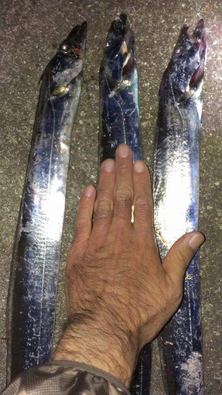 鉄板系反応せず