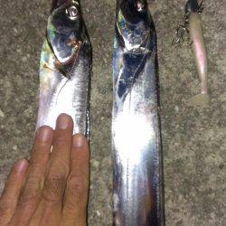 ショートバイトに泣く