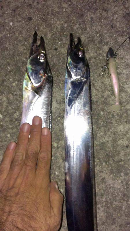 ショートバイトに泣く