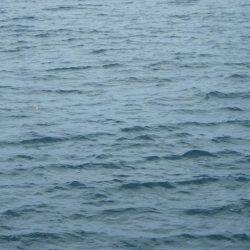 午後からセイゴちゃんと♪