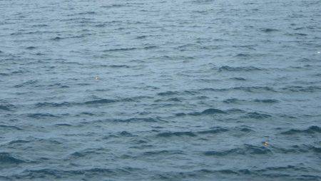 午後からセイゴちゃんと♪