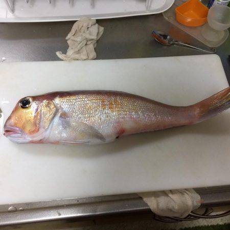 レンタルボート釣行