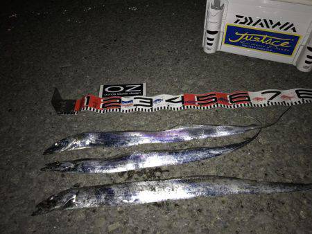 FLAPヘッド握りしめて！