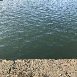 釣果も気温も寒い