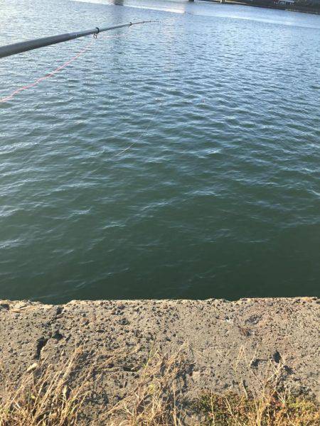 釣果も気温も寒い