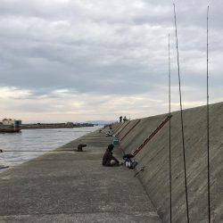 タチウオ祭り、参戦!