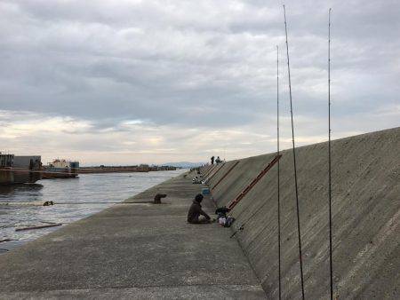 タチウオ祭り、参戦!