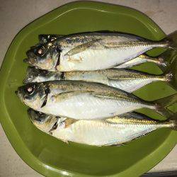 やっとこさですわ！