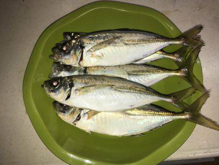 やっとこさですわ！