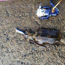 1年振りの丹後半島