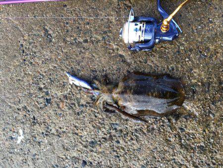 1年振りの丹後半島