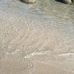 初のデイエギング